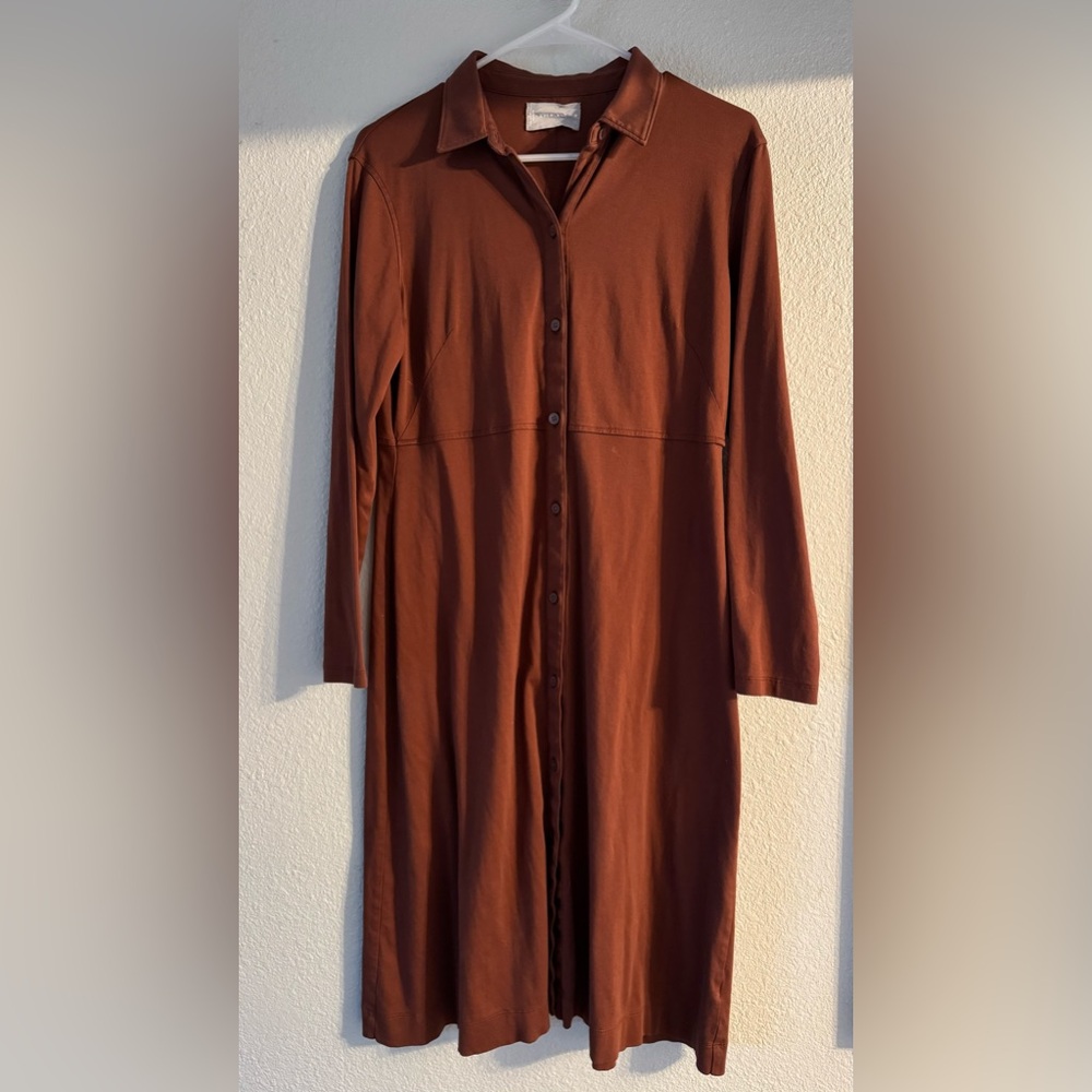 Everlane Midi button up dress